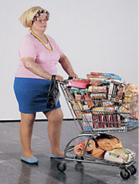 hanson supermarket shopper