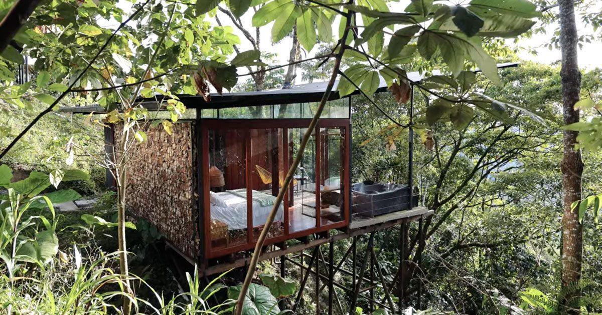 repurposed metal pipes elevate bamboo lodge emerging from ecuadorian rainforest