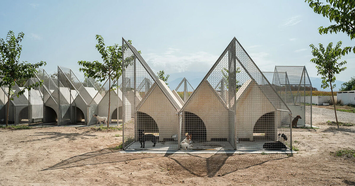 modular prefab units provide refuge for dogs in serrano + baquero’s spanish animal shelter