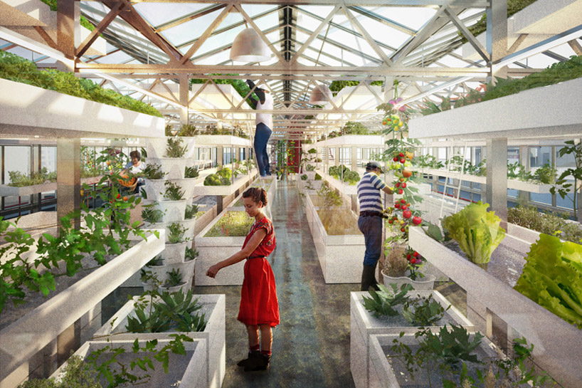 interior rendering of the aquaponics systems producing fruits and ...