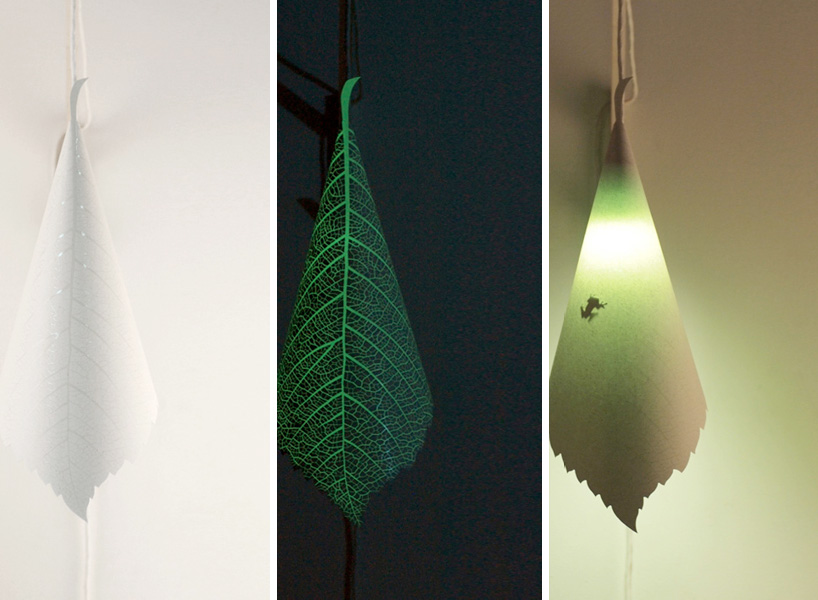 ilsangisang SOULeaf series designboom