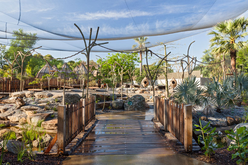 OLA nestles rattanwoven pods at melbourne zoo for immersive lemur exhibit