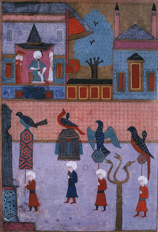 ottoman love of pigeons