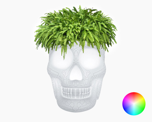 mexico planter outdoor LED leaves a haunting impression