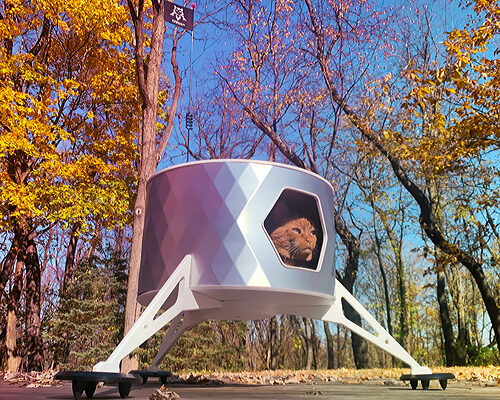 limited edition CATSA lander mark1 - a refined feline escape pod