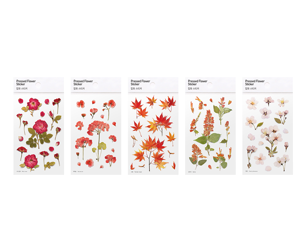 Appree Pressed Flower Sticker - Calendula