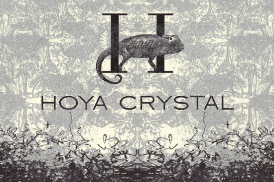 tokyo designers week 2007: hoya crystal