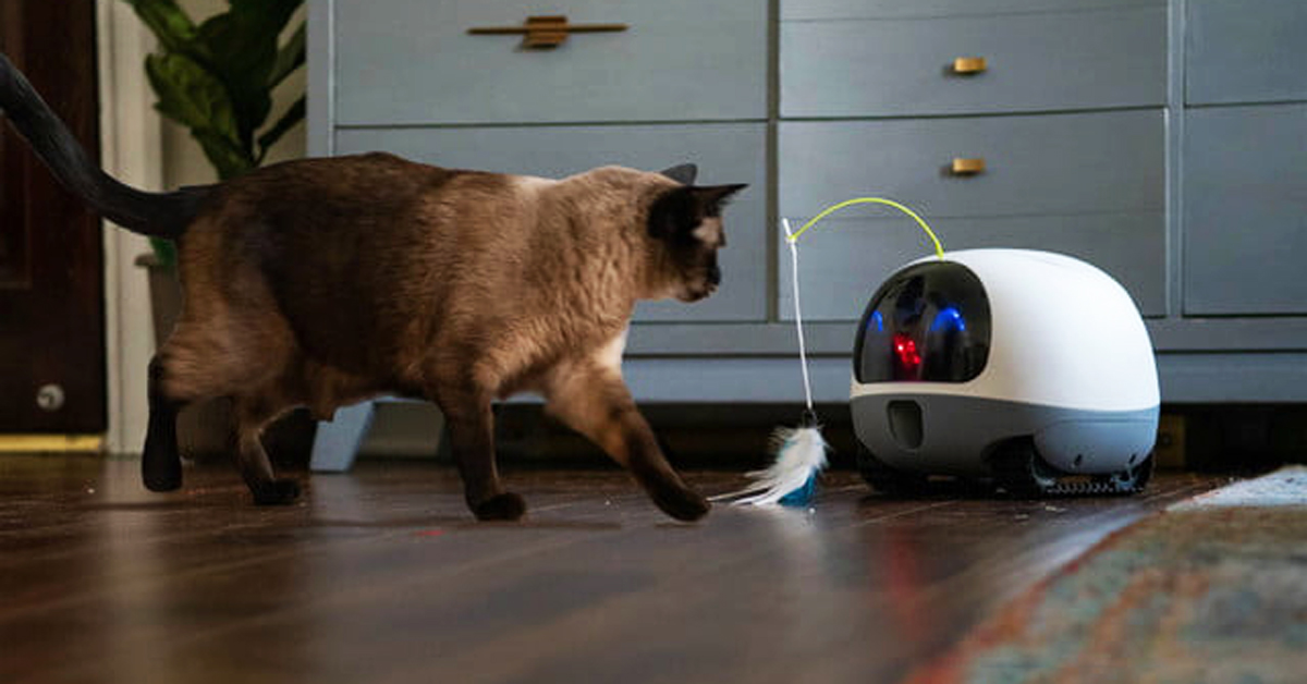 robot pet cam