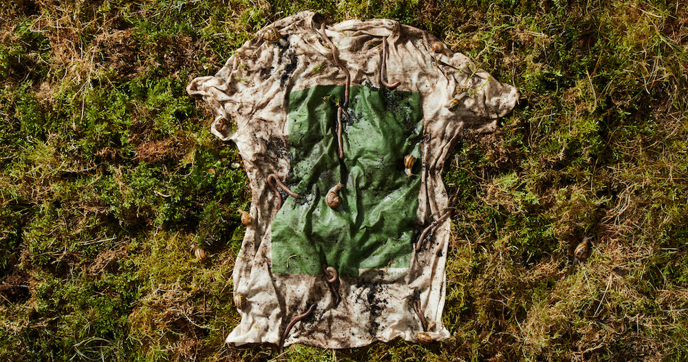 vollebak's plant and algae T-shirt can biodegrade in just 12 weeks