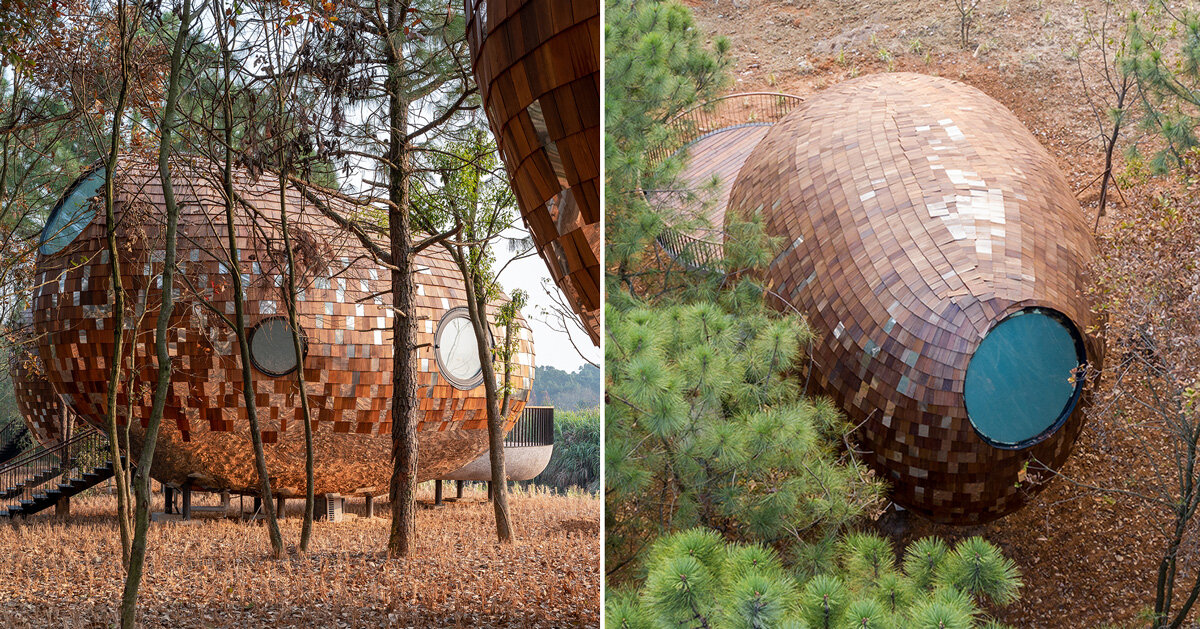 The Mushroom by ZJJZ is a cone-shaped guest house in the woods of