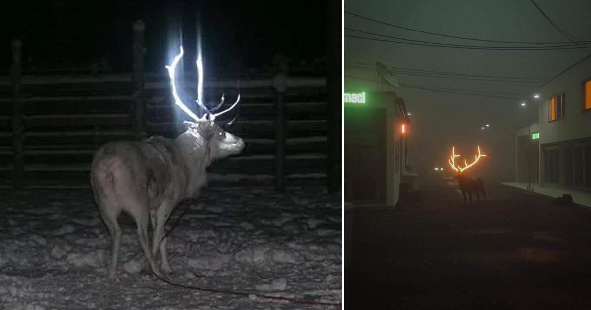 9 Point Deer Antlers -  Finland