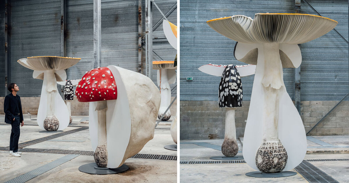 carsten höller replicates poisonous, hallucinogenic mushrooms for ...