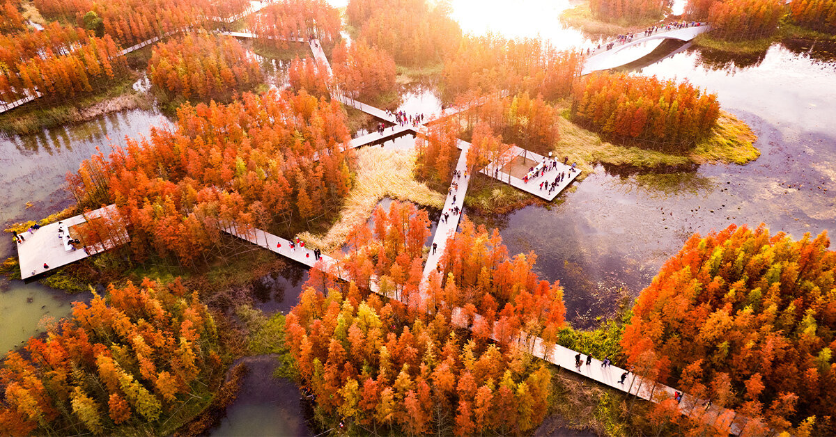 turenscape transforms dumping ground into floating park in china