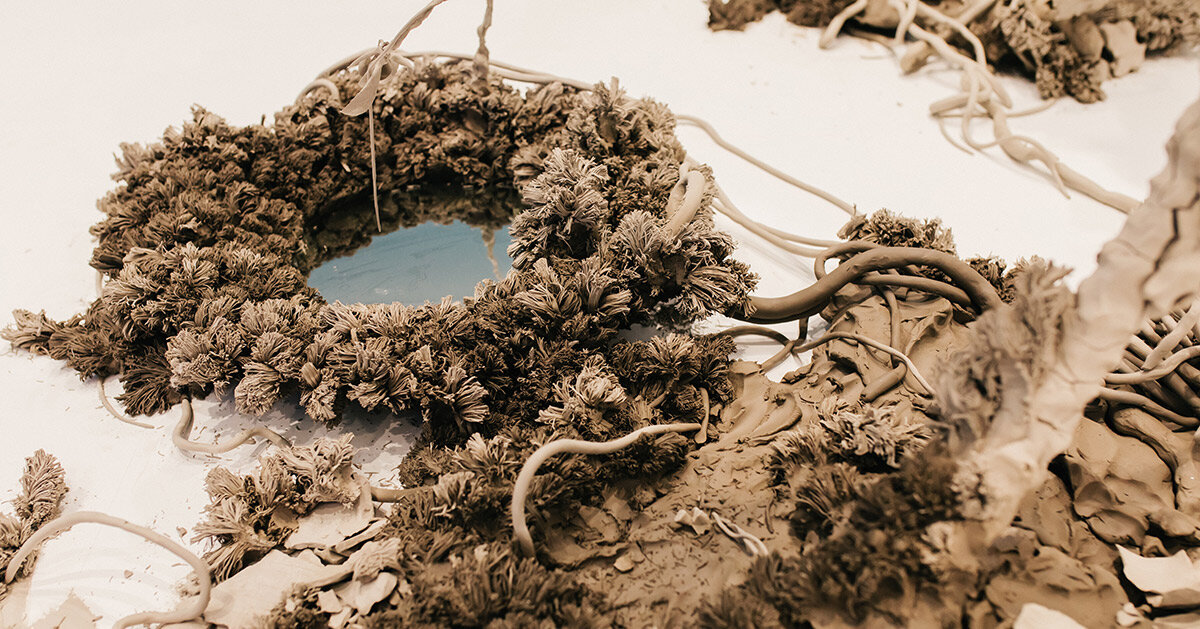 Phoebe Cummings: Ephemeral Clay Flowers - Garden Museum