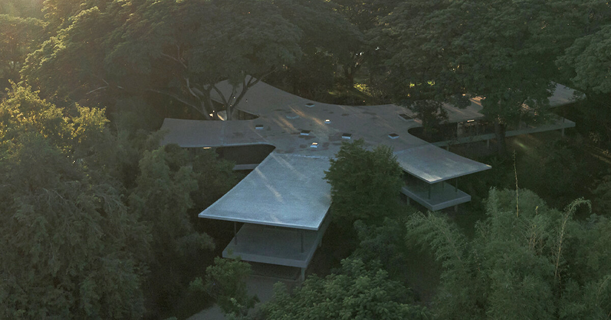 all(zone) joins five curved wings to build 'under the rain trees' house