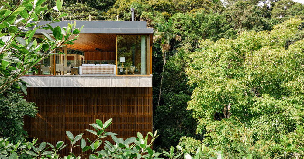 a modern treehouse by DB arquitetos rises from brazil’s lush coastal canopies