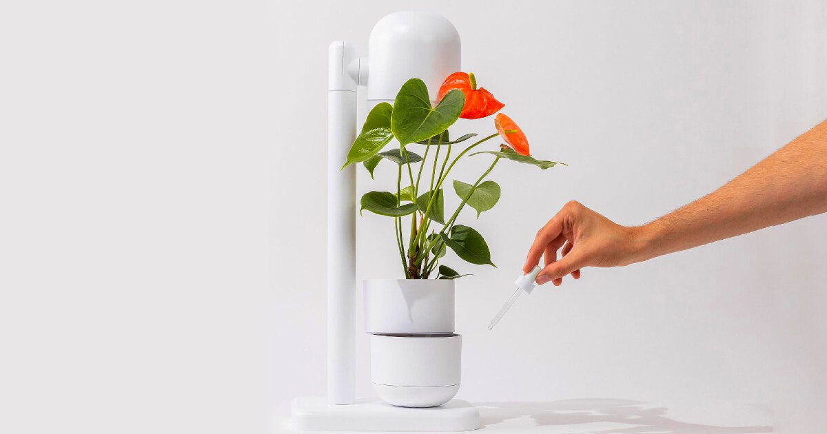 moss’ self-watering lamp can grow plants and herbs on its own while lighting up spaces