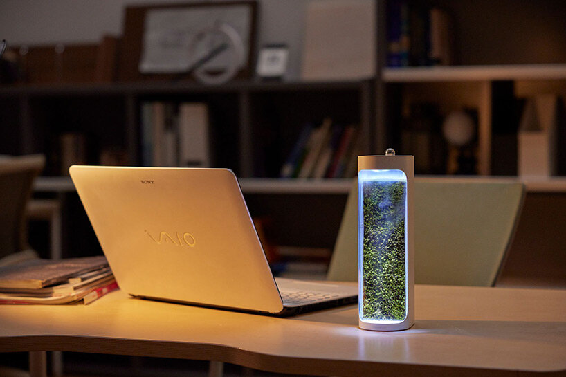 mosslab’s desktop-sized humidifier & purifier turns dry air into moisture-rich environments