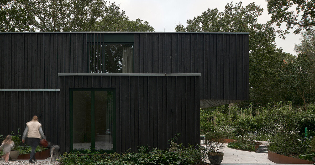 floating timber volume crowns forest house by kumiki architecture in the netherlands