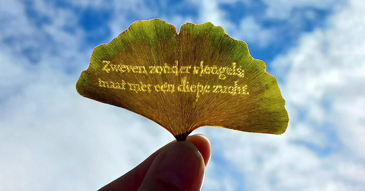 an ode to letting go: merel slootheer imprints small poems onto autumn fallen leaves