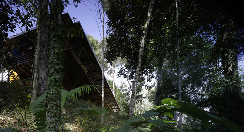 marra + yeh architects: shelter @ rainforest