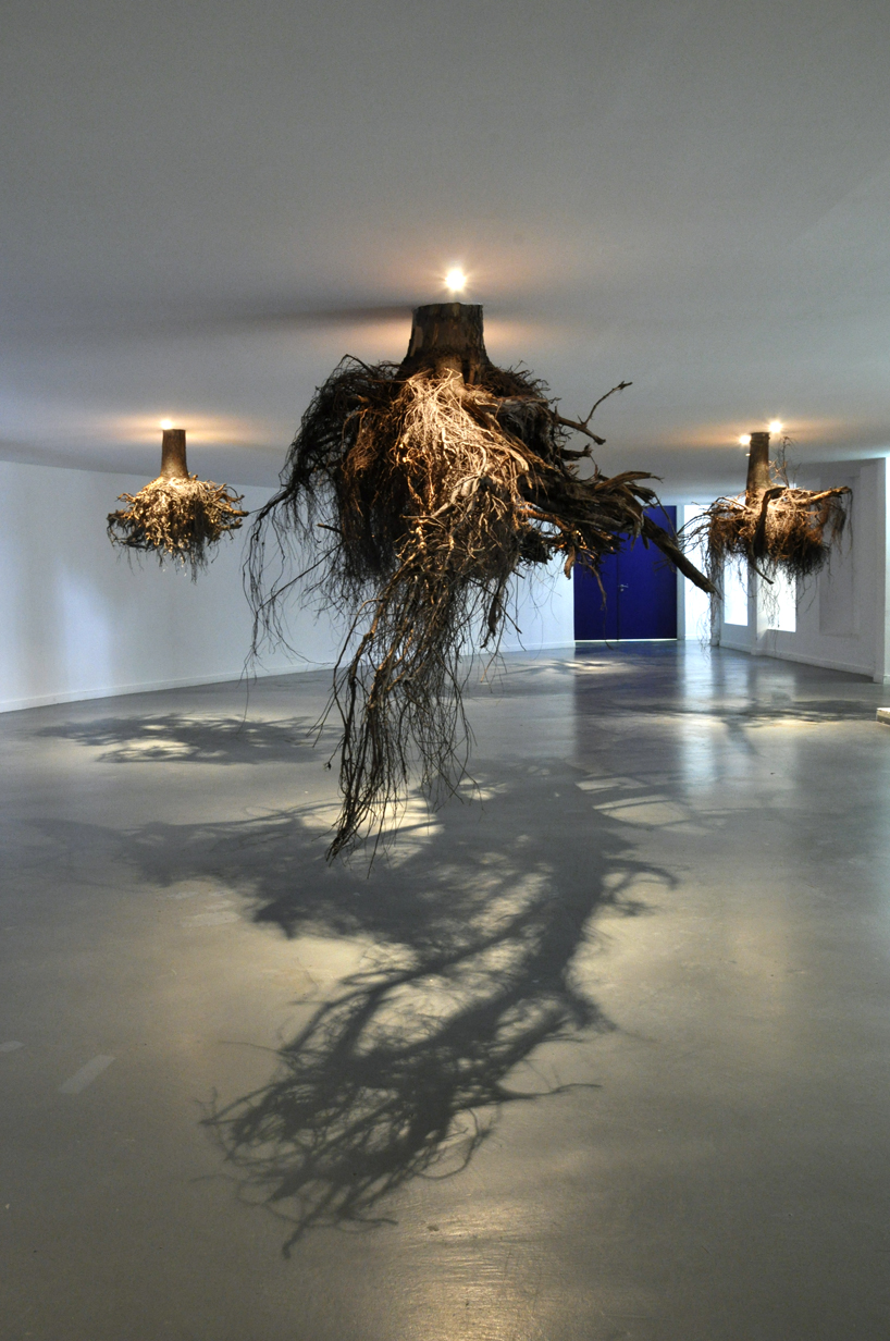 tree roots emerge from the ceiling in an installation by giuseppe licari