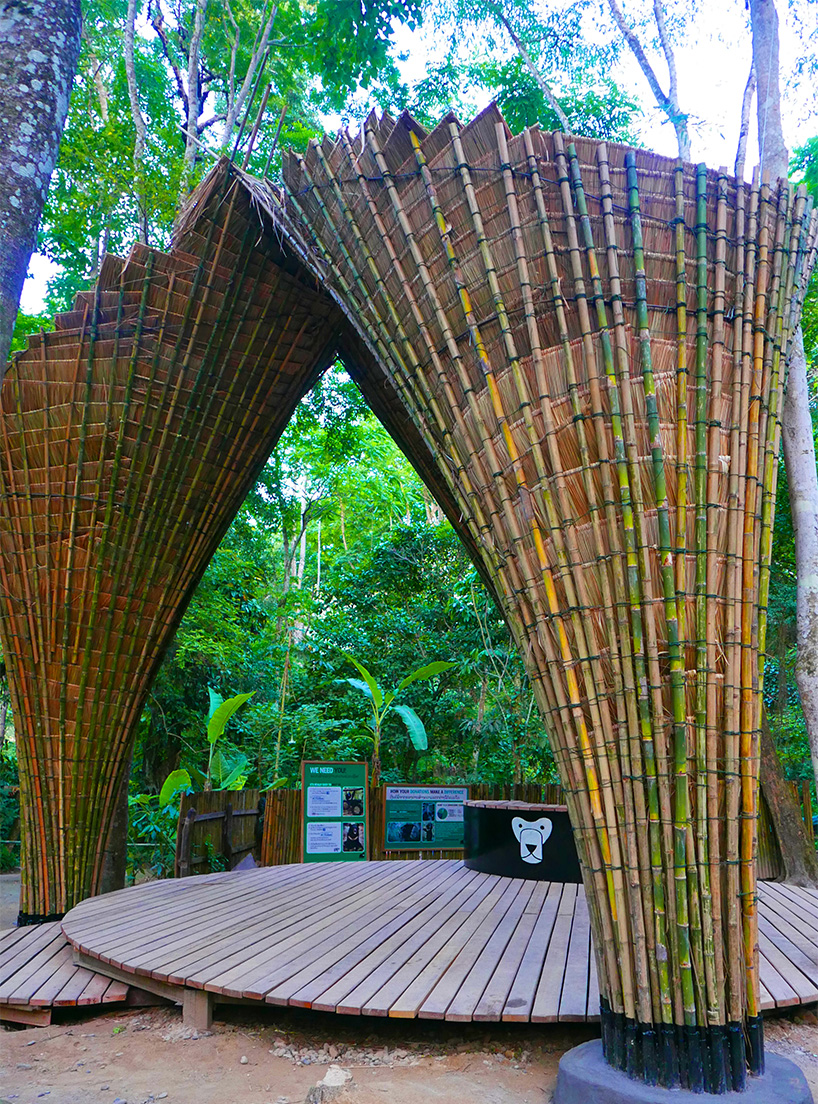 bamboo trees project by building trust and atelierCOLE