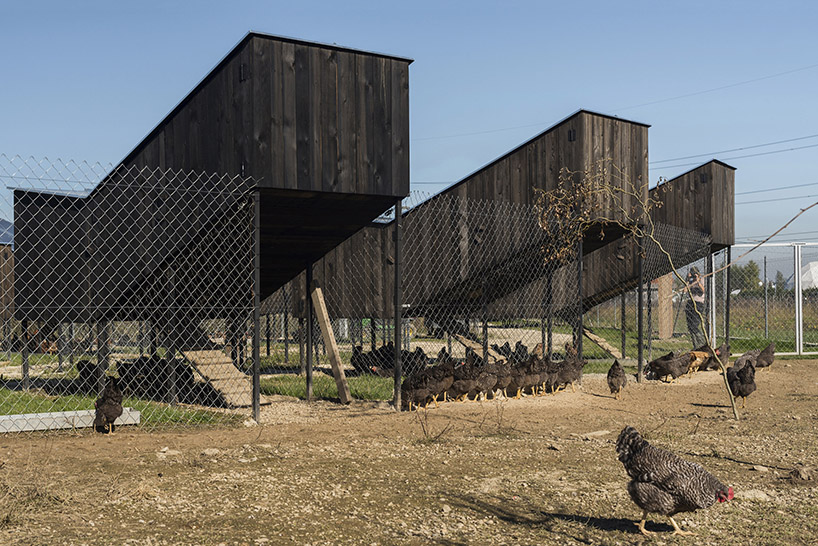 chickenville, an eco-friendly poultry farm designed by ...