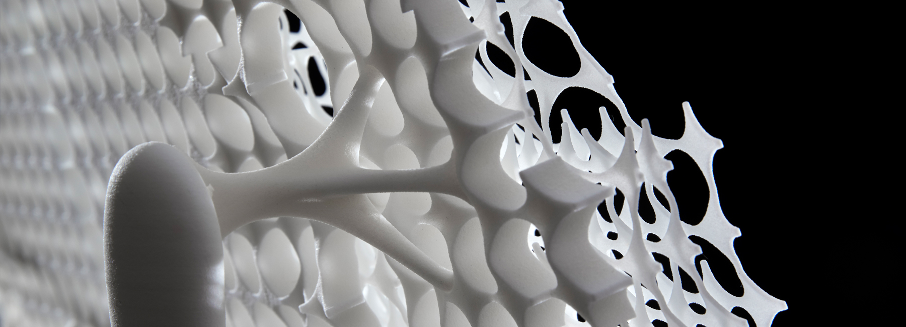 Radiolaria 1 A 3d Printed Chair That Mimics Unicellular Organisms