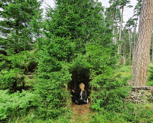 building with nature: the primitive hut