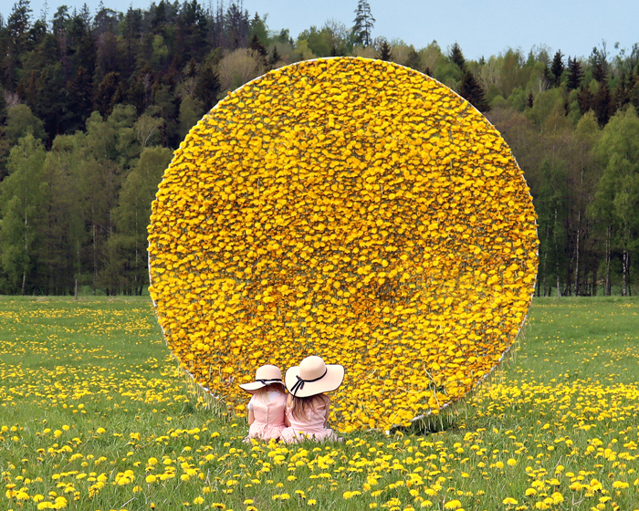 ulf mejergren crafts picnic hut from thousands of hand-picked dandelions in swedish fields