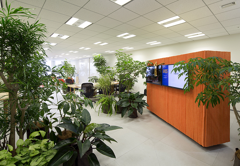 frontoffice adds greenery to transformable office in tokyo