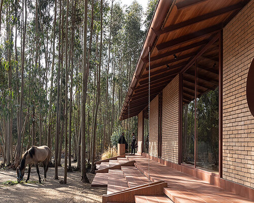 gabriel rivera arquitectos tucks home & stables amid expanse of eucalyptus trees in ecuador