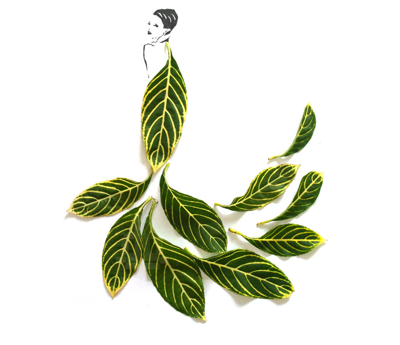 Drawing Art Nouveau Design Vine Leaves Floral Graphic Decoration  Art-Nouveau | eBay