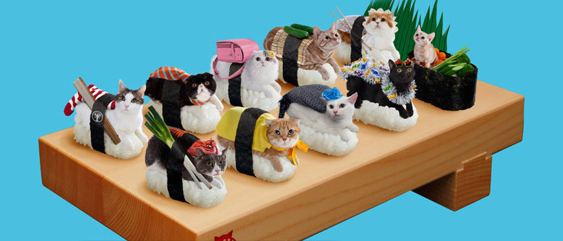 sushi cat stuffed animal