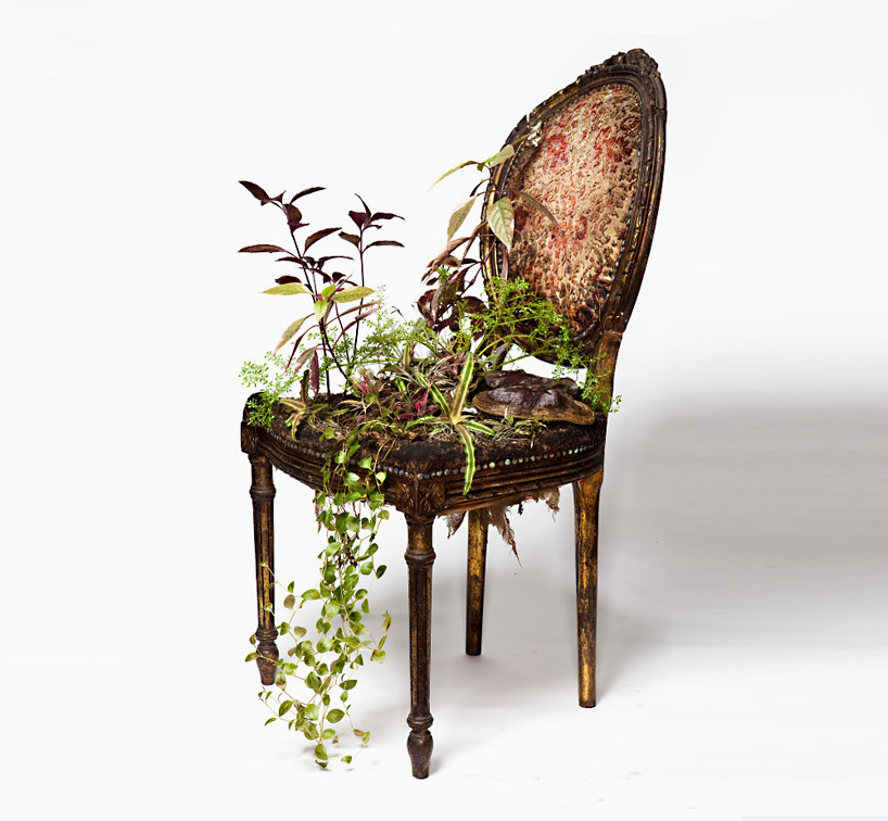 rodrigo bueno cultivates botanical life within naturefilled furniture