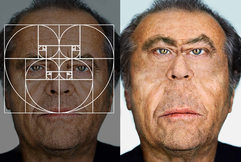 fibonacci in human face