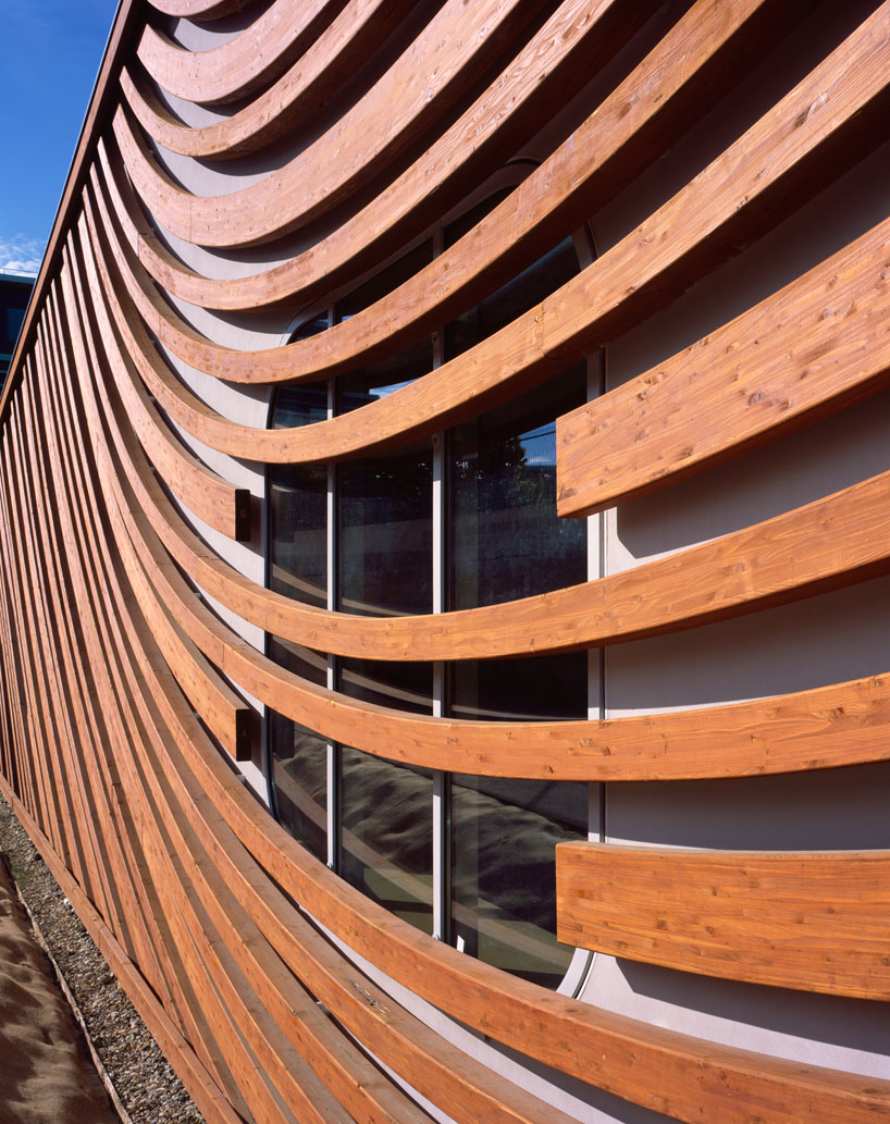 rounded skylights illuminate mikou studio's pool facility