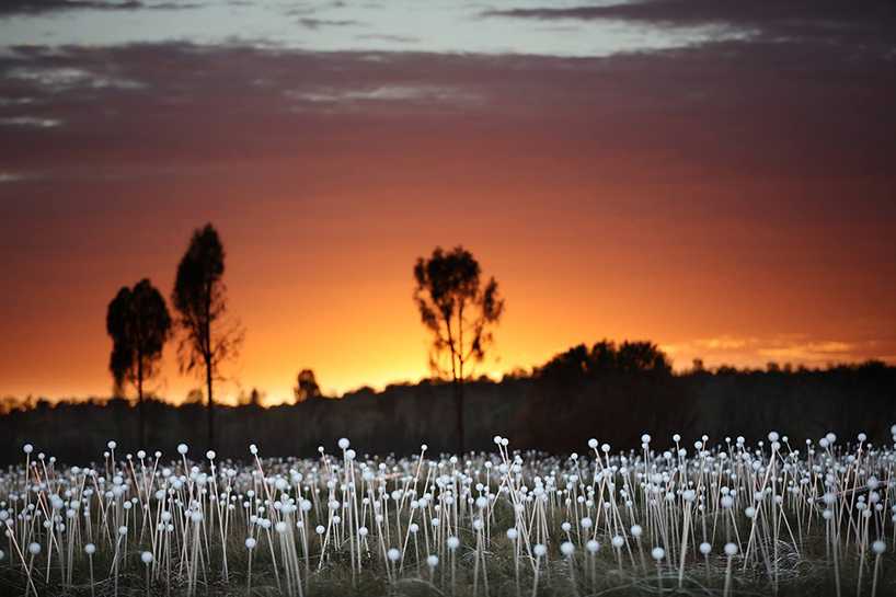 The best solar lights