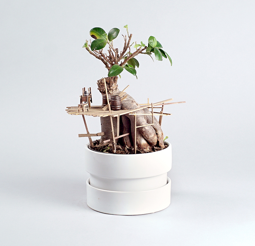 jedediah corwyn voltz builds tiny treehouses in succulent and cacti plants