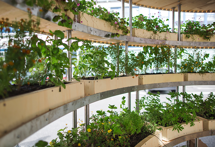 SPACE10 plants inhabitable growroom in copenhagen