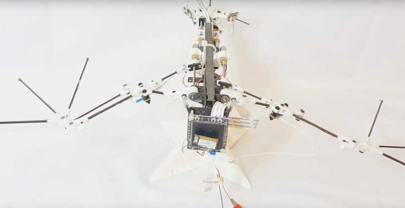 caltech's bat robot stretches its wings