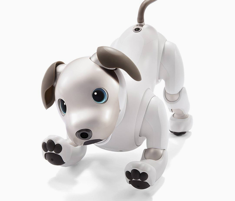 cane robot aibo