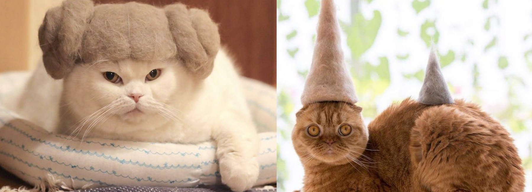 these 100% cat hair cat hats by ryo yamazaki are going viral