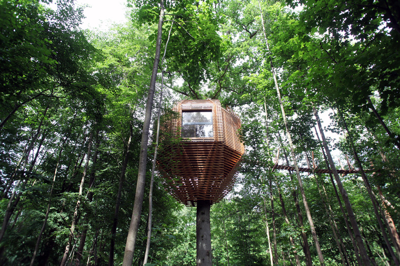 The Origin Tree House By Atelier Lavit Is A Secluded Forest Retreat
