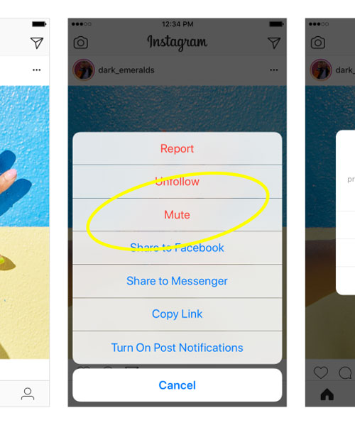 instagram adds a mute button so you can silence those feed-hungry friends