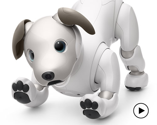 aibo plush