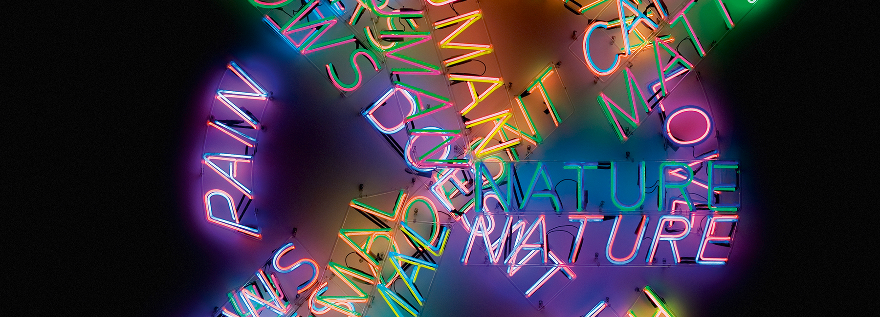 bruce nauman disappearing acts, a retrospective at the