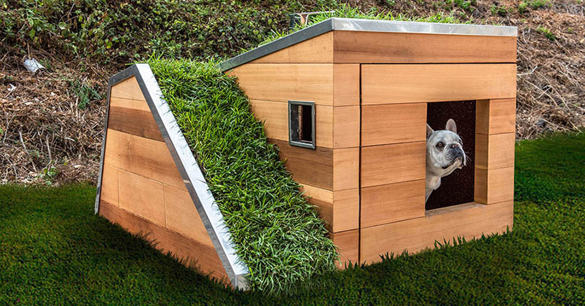 this doggy dreamhouse features a green roof, by studio ...