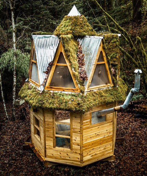 This Tiny Moss Covered Cabin In The Woods Seems Straight Out Of A